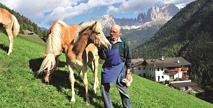 Agriturismo con spa Alto Adige