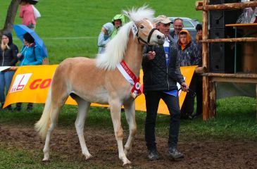 image00001